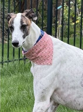 Handmade Rose Pink Busy Bee Scrunchie Dog Bandana - See Size Chart in Photos